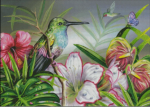 (image for) Lovely Hummingbird